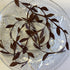 Creative Impressions 1" LEAFY VINE RIBBON Leaf 1 yard yd