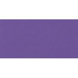 BAZZILL CARDSTOCK Textured 12"X12" Sheet