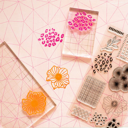 Amy Tangerine BRAVE &amp; BOLD Clear Stamps 10pc