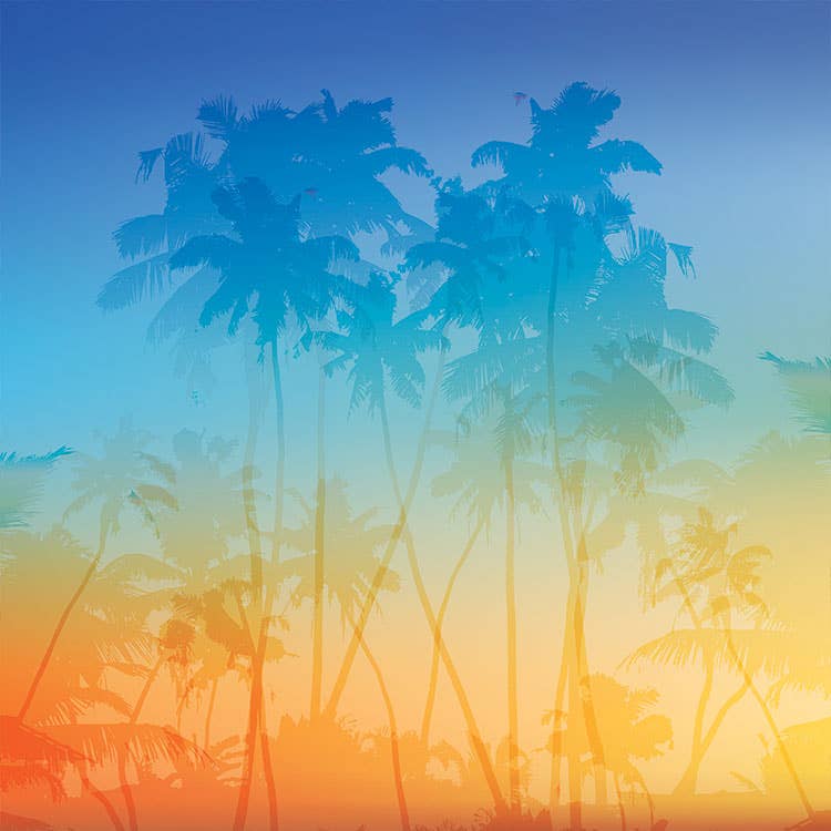 Paper House TROPICAL BREEZE 12"X12" Scrapbook Paper