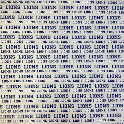 Scrapbooksrus LIONS FOOTBALL 12&quot;X12&quot; Scrapbook Paper Kit 12 Sheets