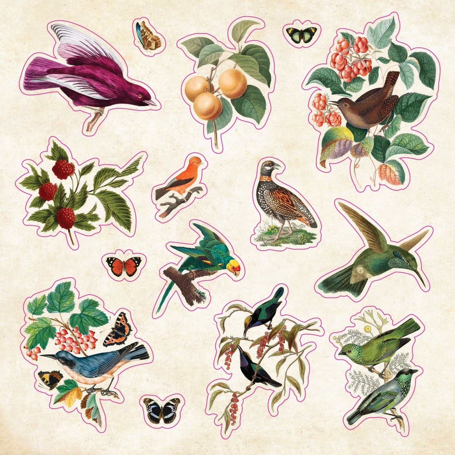Peter Pauper The Sticker Book of CURIOSITIES