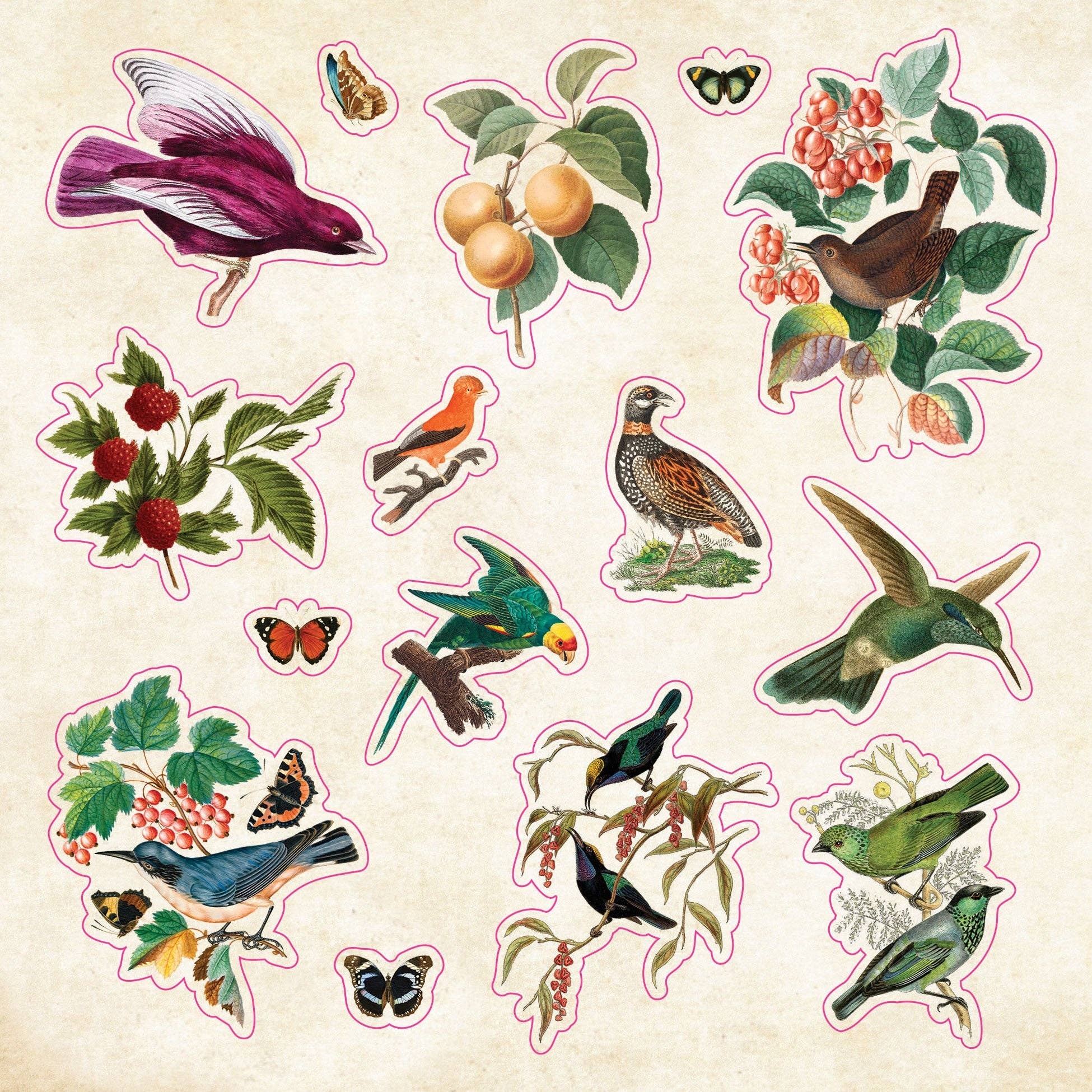 Peter Pauper The Sticker Book of CURIOSITIES
