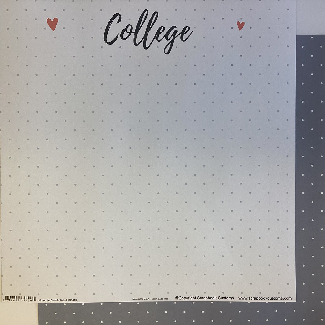 Scrapbook Customs COLLEGE LIFE DS 12X12 Scrapbook Paper