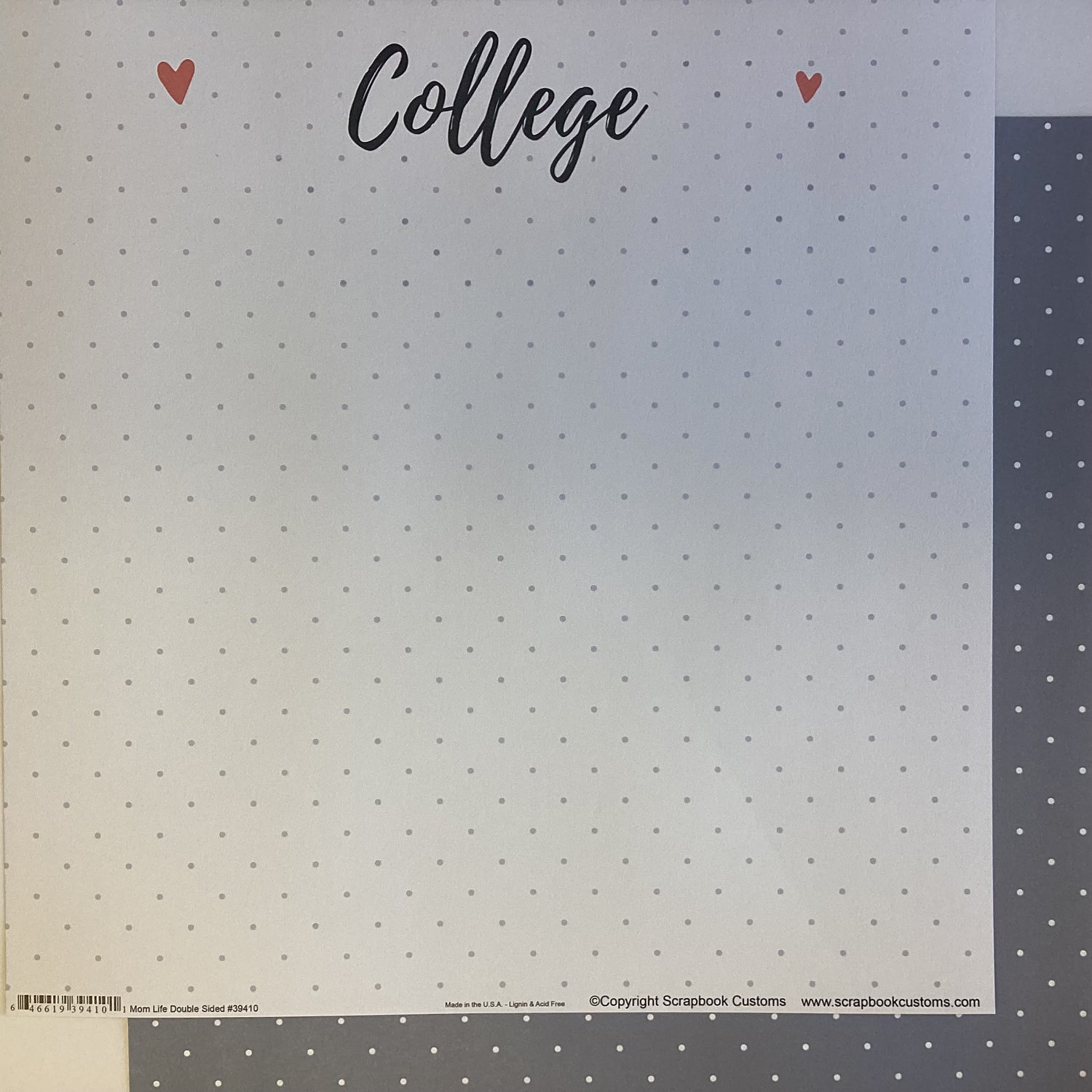 Scrapbook Customs COLLEGE LIFE DS 12X12 Scrapbook Paper