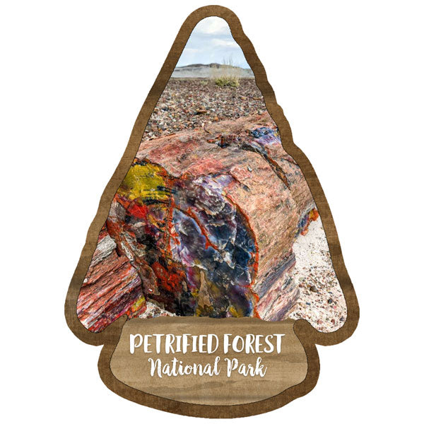 PETRIFIED FOREST KIT Papers and Stickers 5pc National Park Arizona