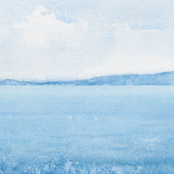 Scrapbook Customs SAFARI ORCA 12&quot;X12&quot; Scrapbook Paper