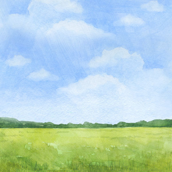 Scrapbook Customs COW DS Watercolor 12&quot;X12&quot; Scrapbook Paper