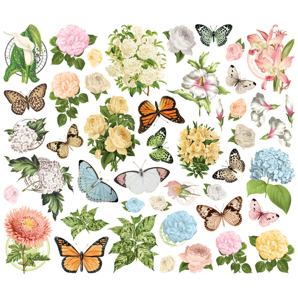 Collection of butterflies and flowers on a white background