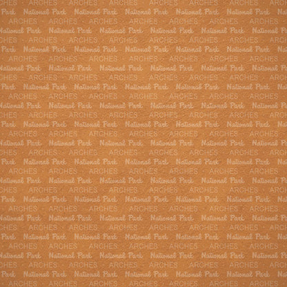 Scrapbook Customs NATIONAL PARK MAP AND WORDS 12&quot;X12&quot; Scrapbook Paper
