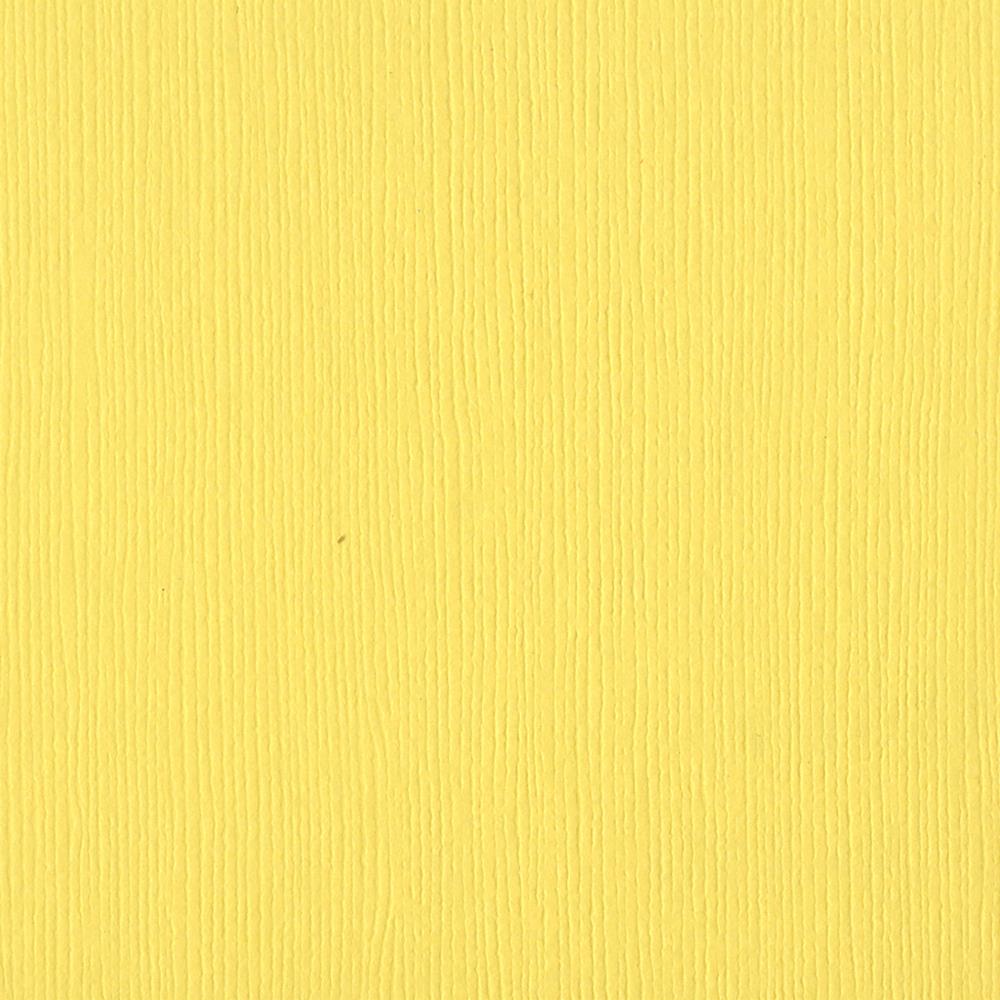 BAZZILL CARDSTOCK 12&quot;X12&quot; 1 Sheet Solid Core