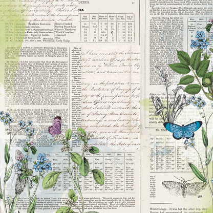 49 and Market Curators Botanical RECORDS 12&quot;X12&quot; Scrapbook Paper