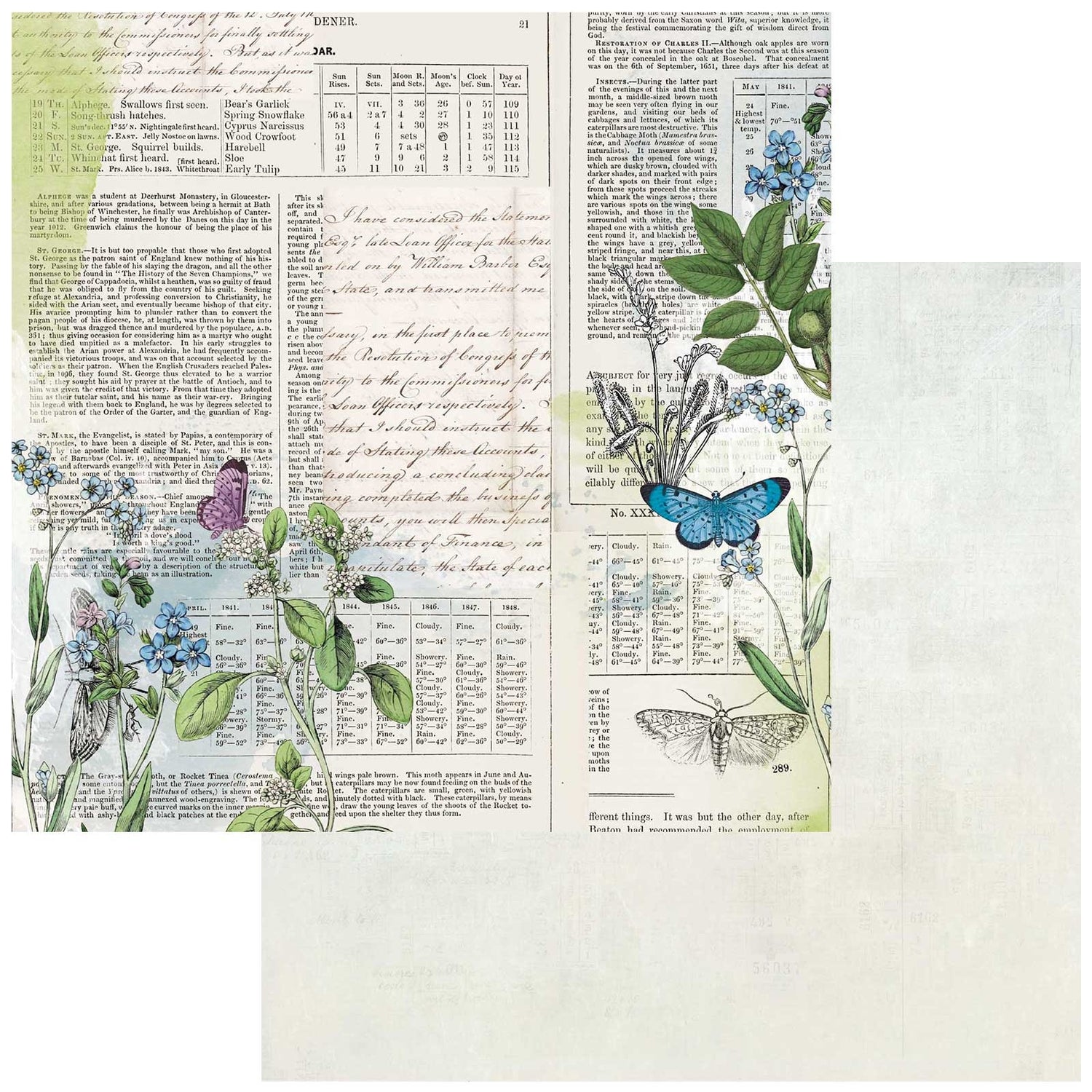 49 and Market Curators Botanical RECORDS 12&quot;X12&quot; Scrapbook Paper