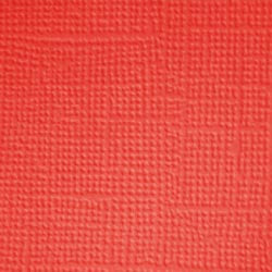 Doodlebug Design 12X12 LADYBUG Cardstock Paper Pack 5pc