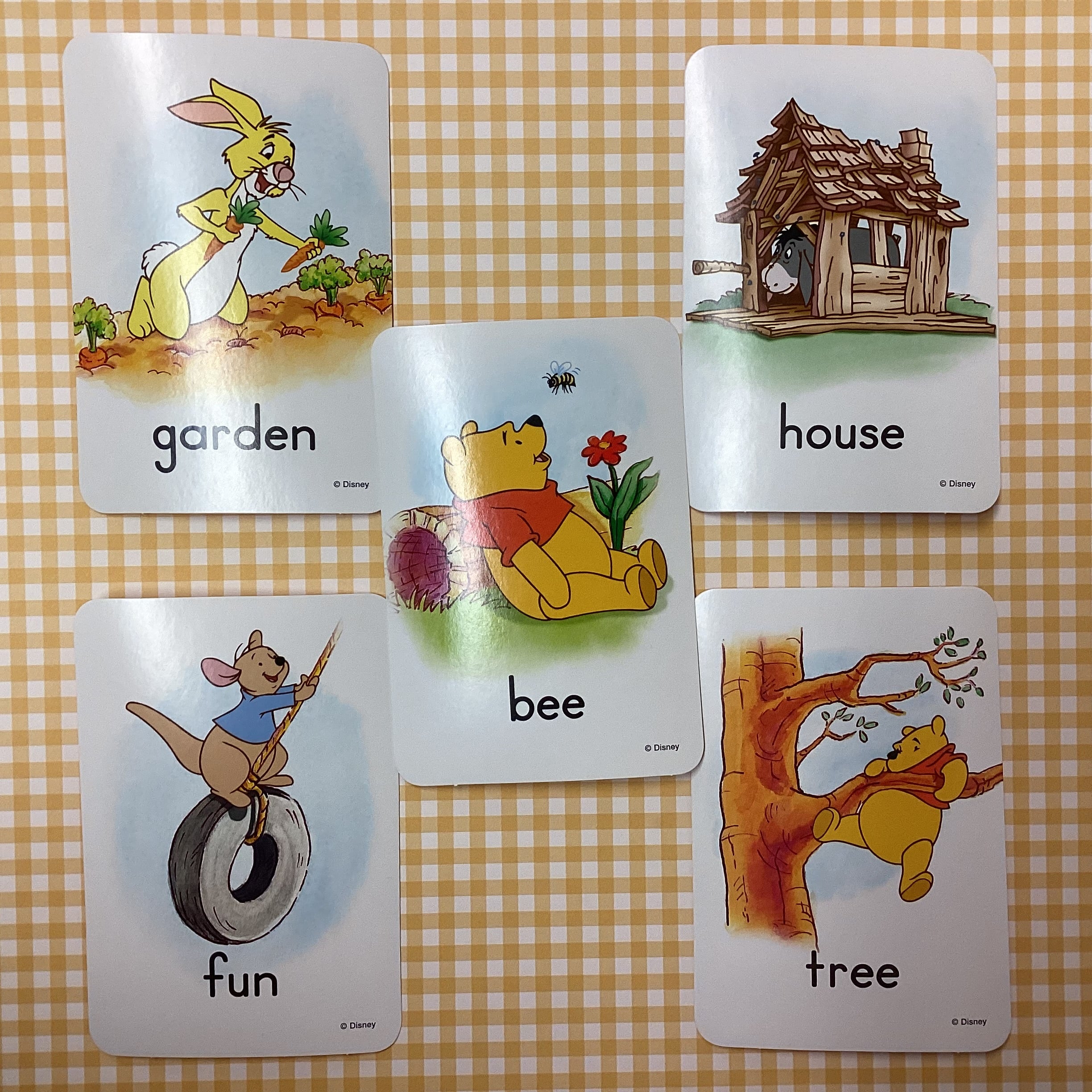 Disney WINNIE THE POOH Word Cards 5pc