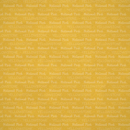Scrapbook Customs NATIONAL PARK MAP AND WORDS 12&quot;X12&quot; Scrapbook Paper