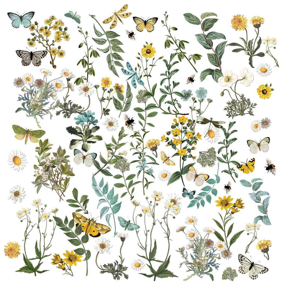 49 and Market Krafty Garden LASER CUT WILDFLOWERS 72pc