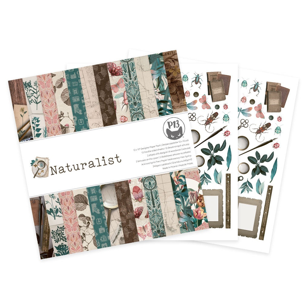 P13 NATURALIST Bugs 12&quot;X12&quot; Designer Paper Pack 14pc