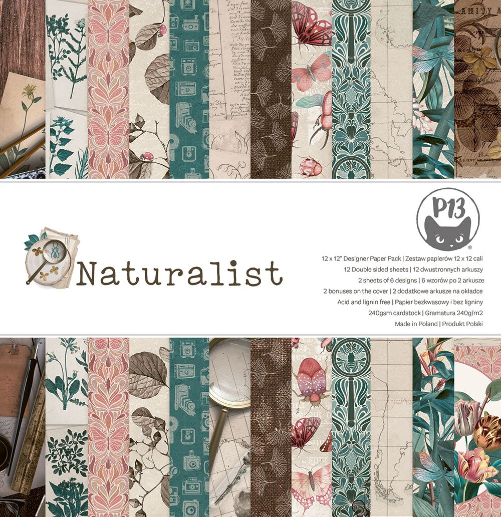 P13 NATURALIST Bugs 12&quot;X12&quot; Designer Paper Pack 14pc