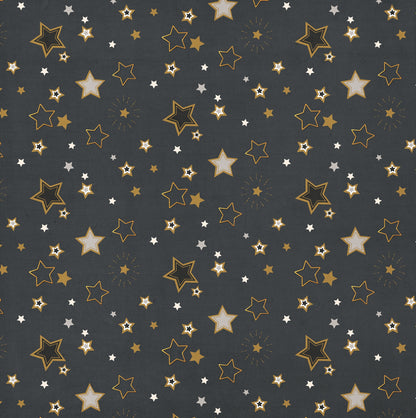 Photoplay The Graduate BIG DREAMS 12X12 Scrapbook Paper