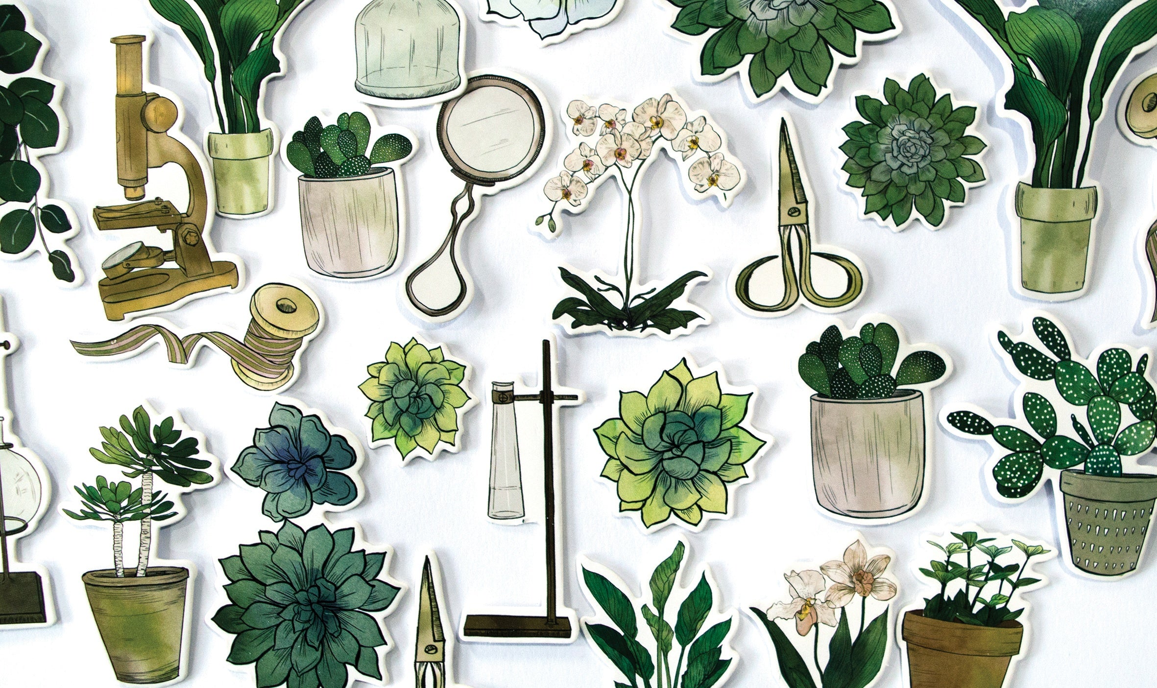 Craft Consortium BOTANY BOUTIQUE Chipboard Ephemera