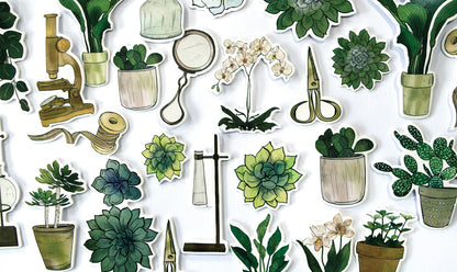 Craft Consortium BOTANY BOUTIQUE Chipboard Ephemera