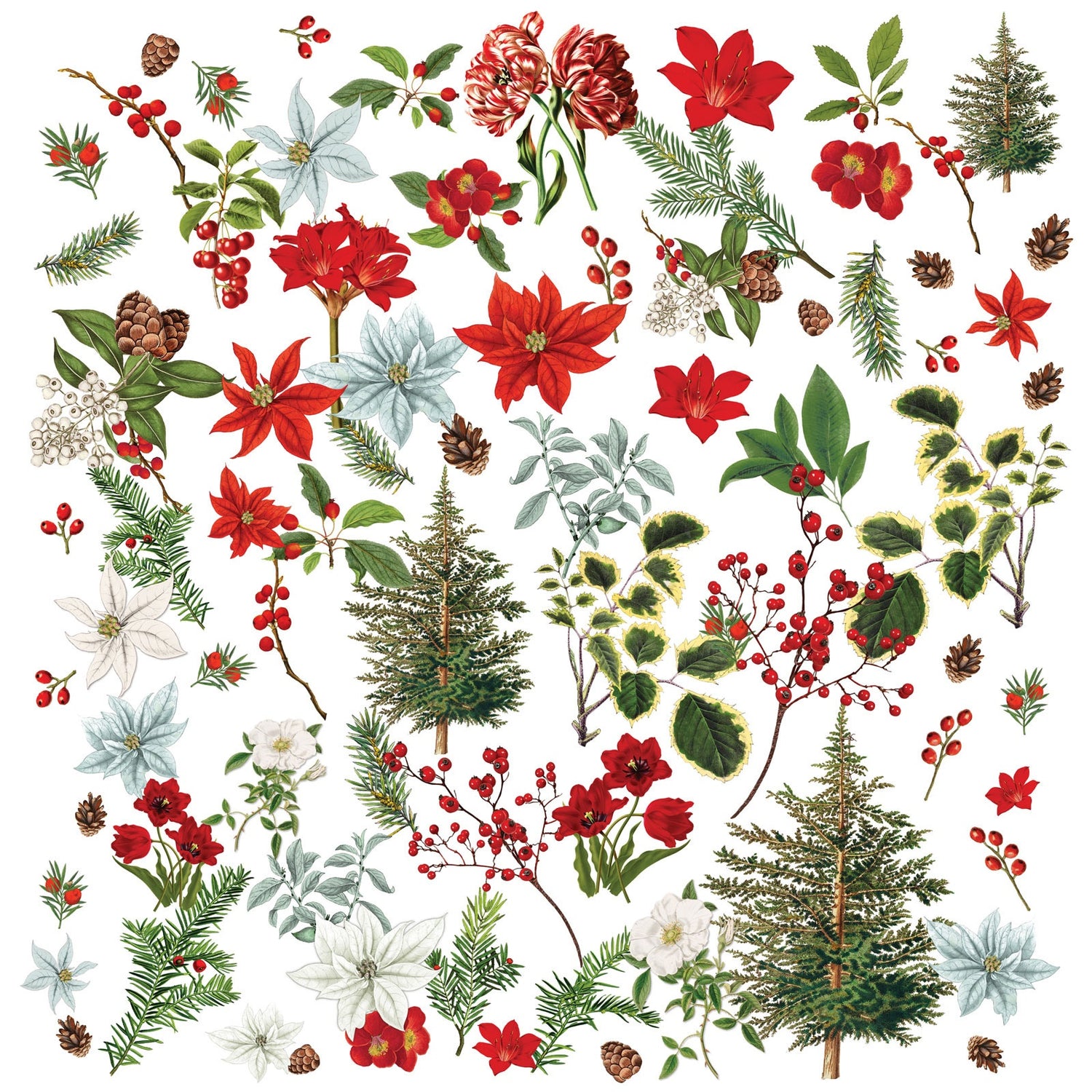 49 and Market EVERGREEN SEASON Wildflower Laser Cuts