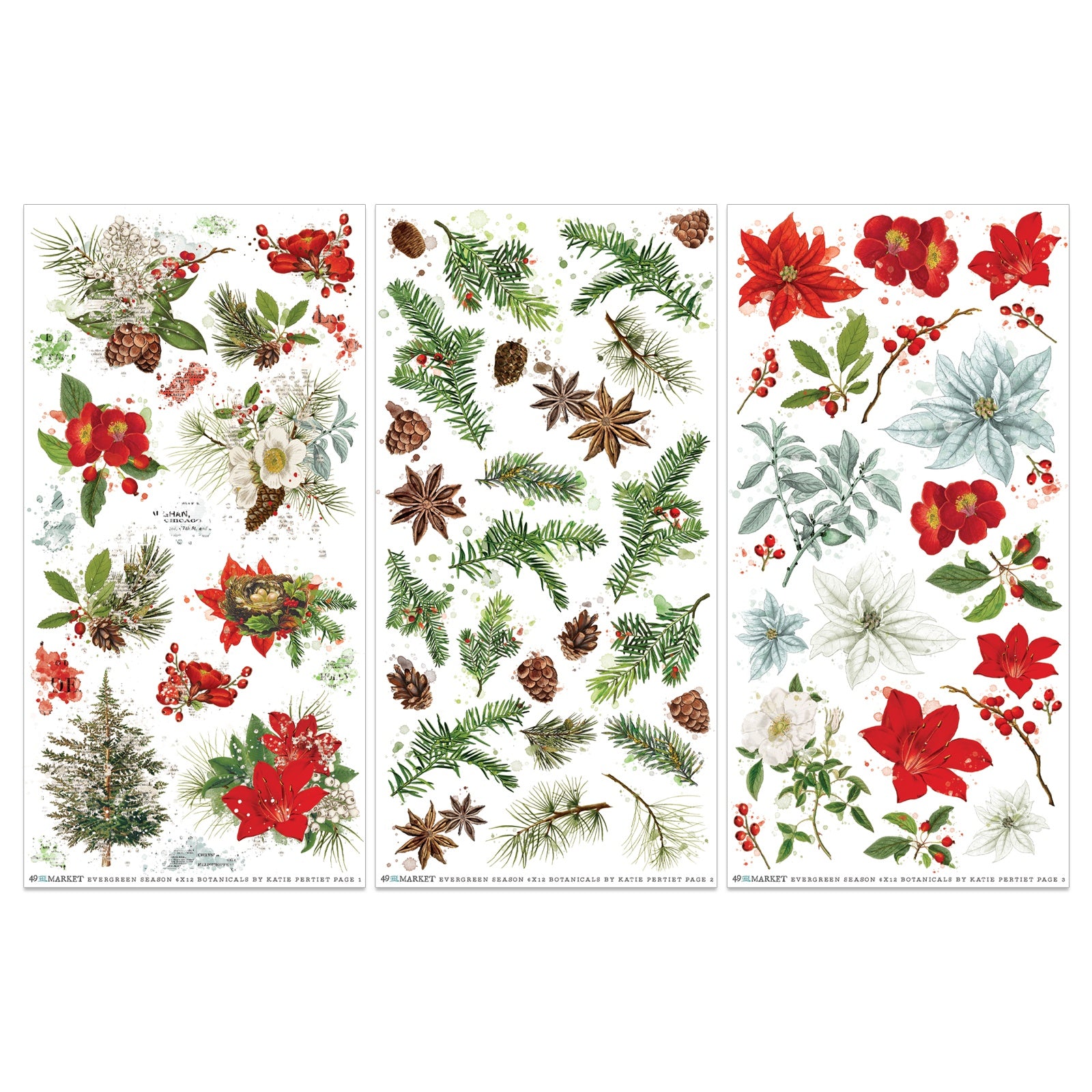 49 and Market EVERGREEN SEASON Botanical Rub-on Transfers