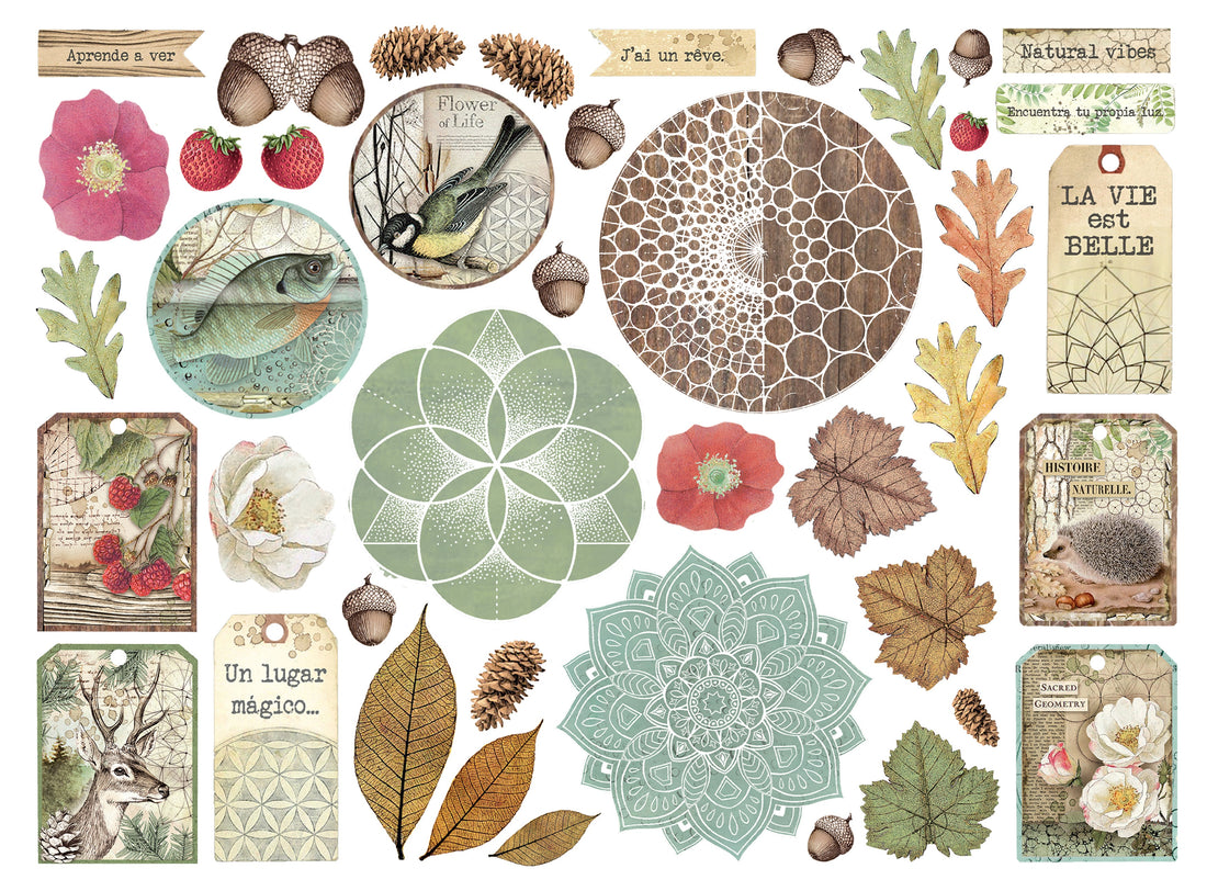 Stamperia FOREST Die Cuts