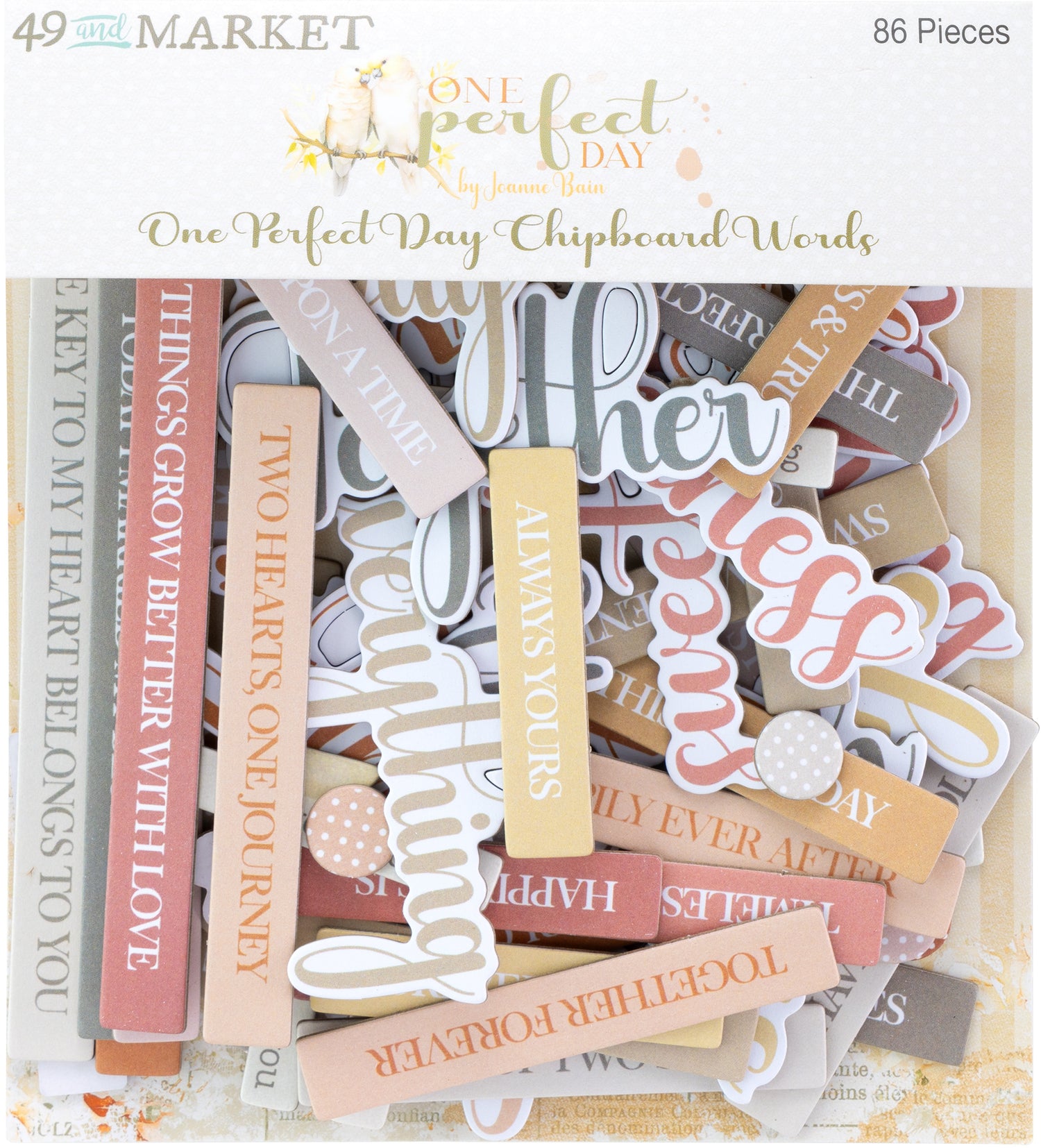 49 and Market ONE PERFECT DAY Chipboard Words