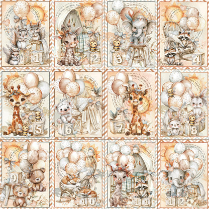 49 and Market LITTLE DREAMERS 12"X12" Scrapbook Paper