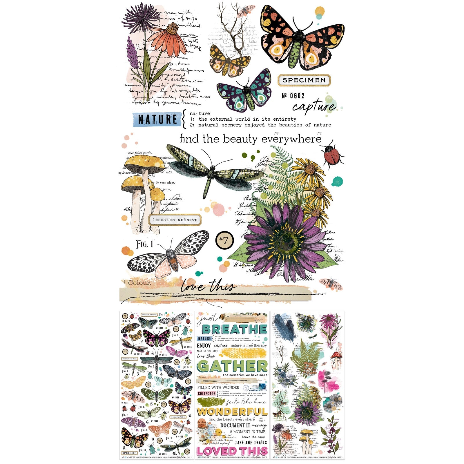 49 and Market Vicki Boutin CURIOSITIES IN WILLOW GROVE Rub-On Transfers