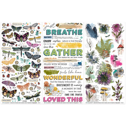 49 and Market Vicki Boutin CURIOSITIES IN WILLOW GROVE Rub-On Transfers