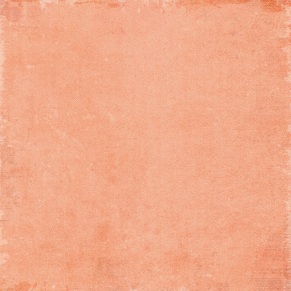 49 and Market Vicki Boutin CURIOSITIES IN WILLOW GROVE 12”X12” Staples Paper Pack