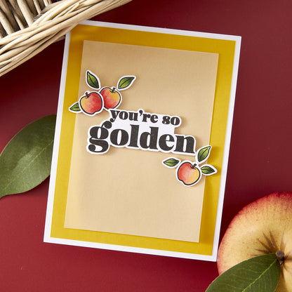 Hero Arts YOU’RE GOLDEN Stamp &amp; Cut Set