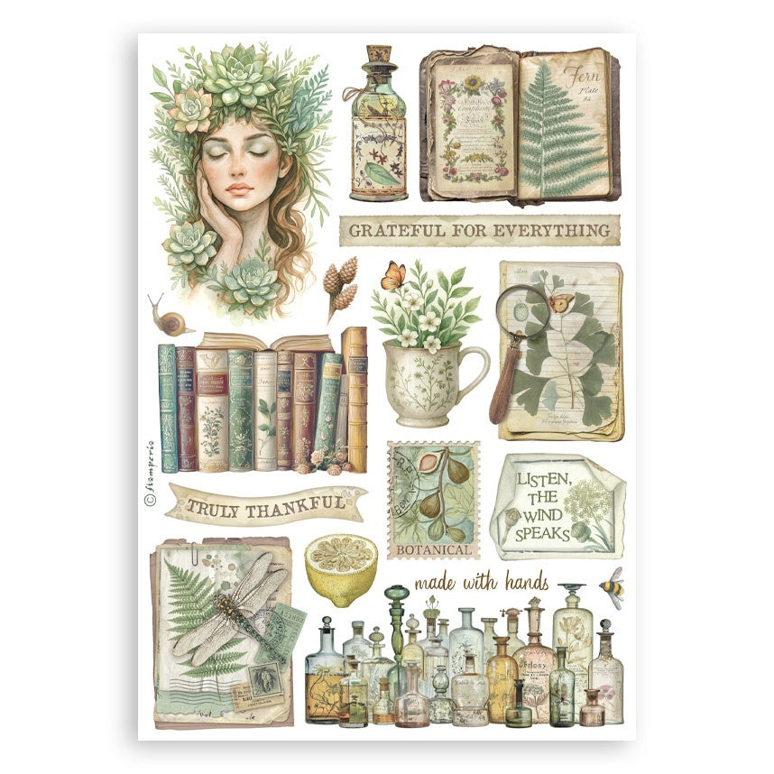 Stamperia HERBARIUM SILVAE Washi Pad