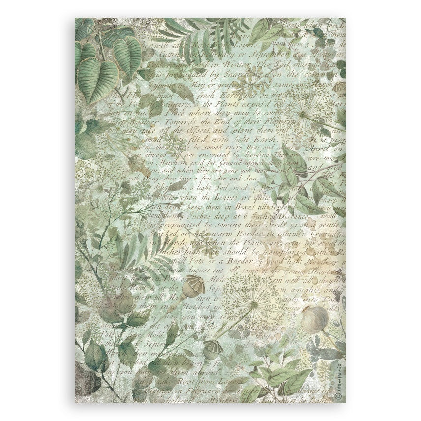 Stamperia HERBARIUM SILVAE Washi Pad