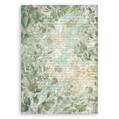 Stamperia HERBARIUM SILVAE Washi Pad