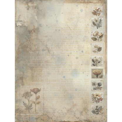 49 and Market FADED MEMORY LANE 6X8 Collection Pack