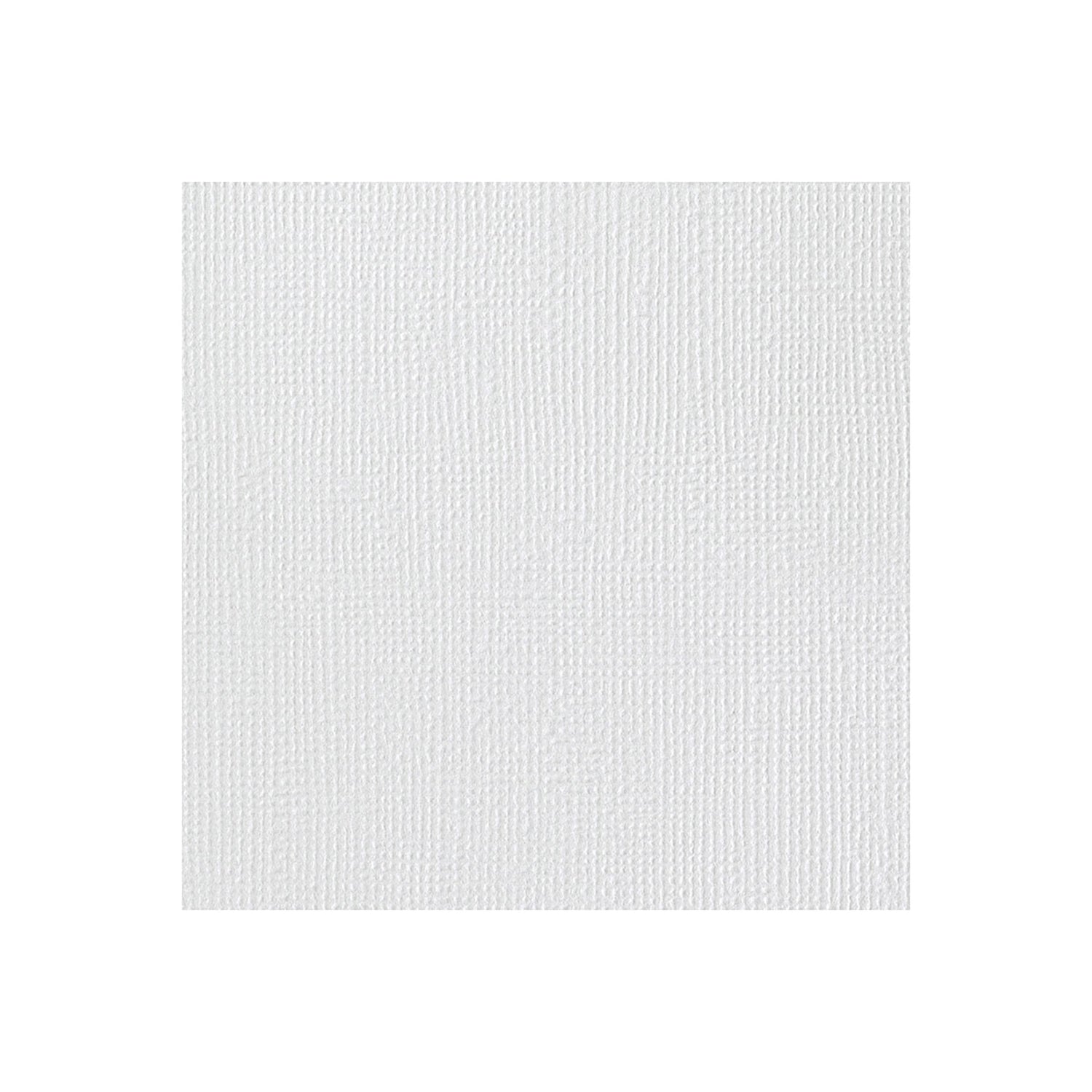 Colorbok TEXTURED SNOW WHITE 12”X12” Cardstock 40 Sheets