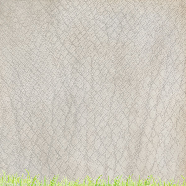 Scrapbook Customs SAFARI RHINO 12&quot;X12&quot; Scrapbook Paper