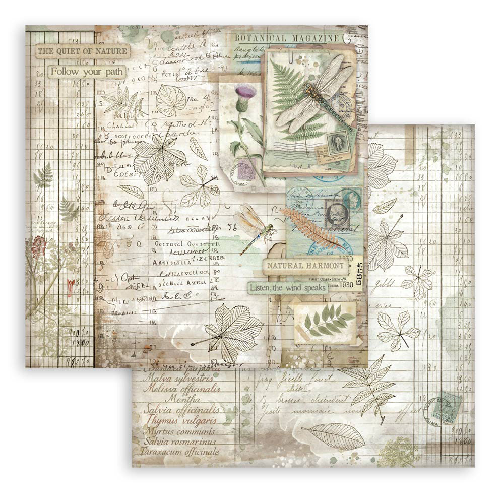 Stamperia HERBARIUM SILVAE 12”X12” Scrapbook Paper Maxi Pad