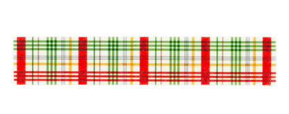 Echo Park Winnie The POOH CHRISTMAS BEAR PLAID Washi Tape