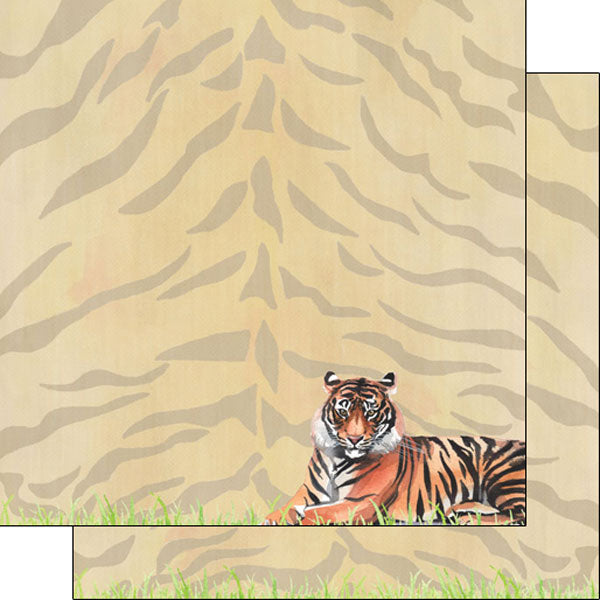 Scrapbook Customs SAFARI TIGER 12&quot;X12&quot; Scrapbook Paper