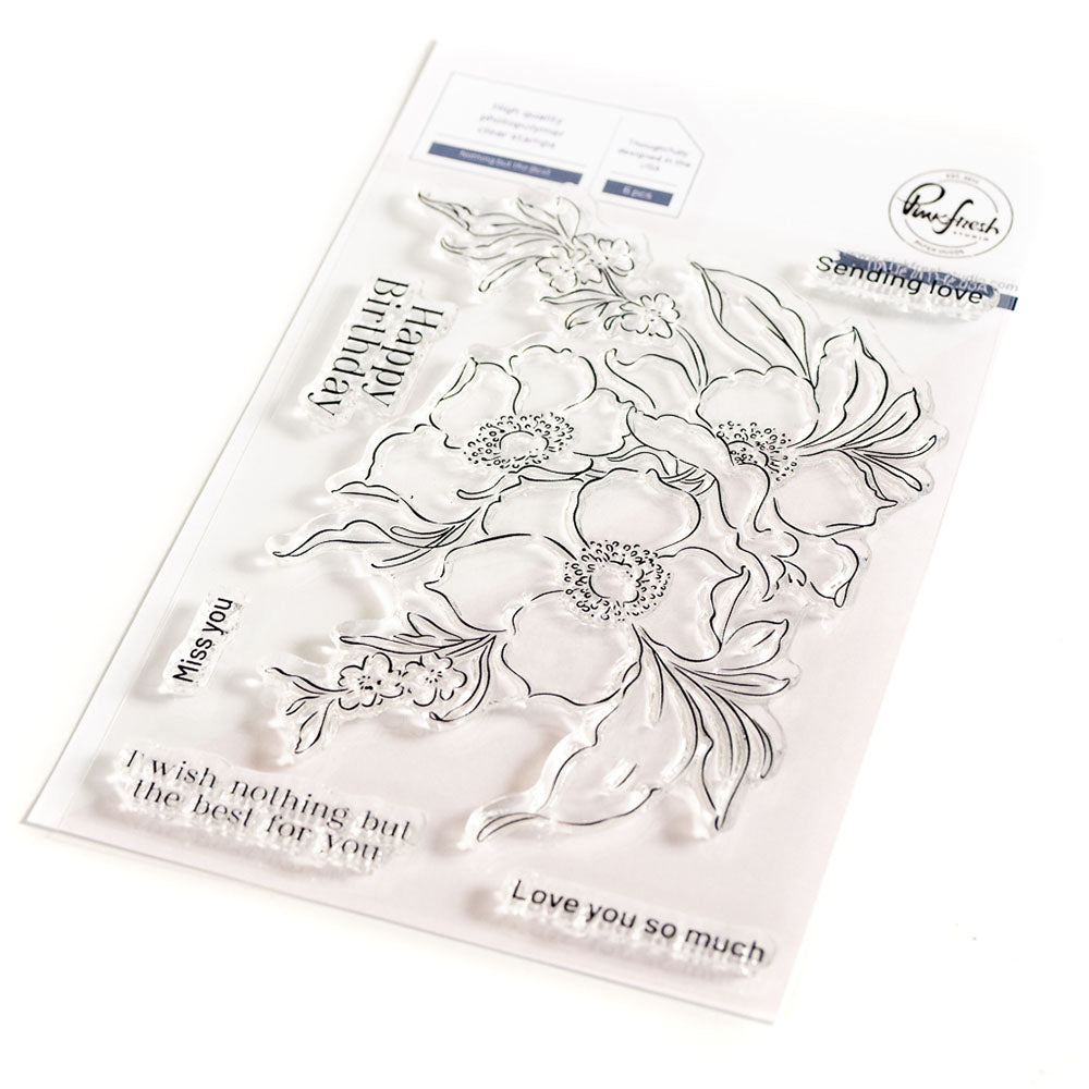 Pinkfresh Studio NOTHING BUT THE BEST Clear Stamp Stencel &amp; Die Set 13pc