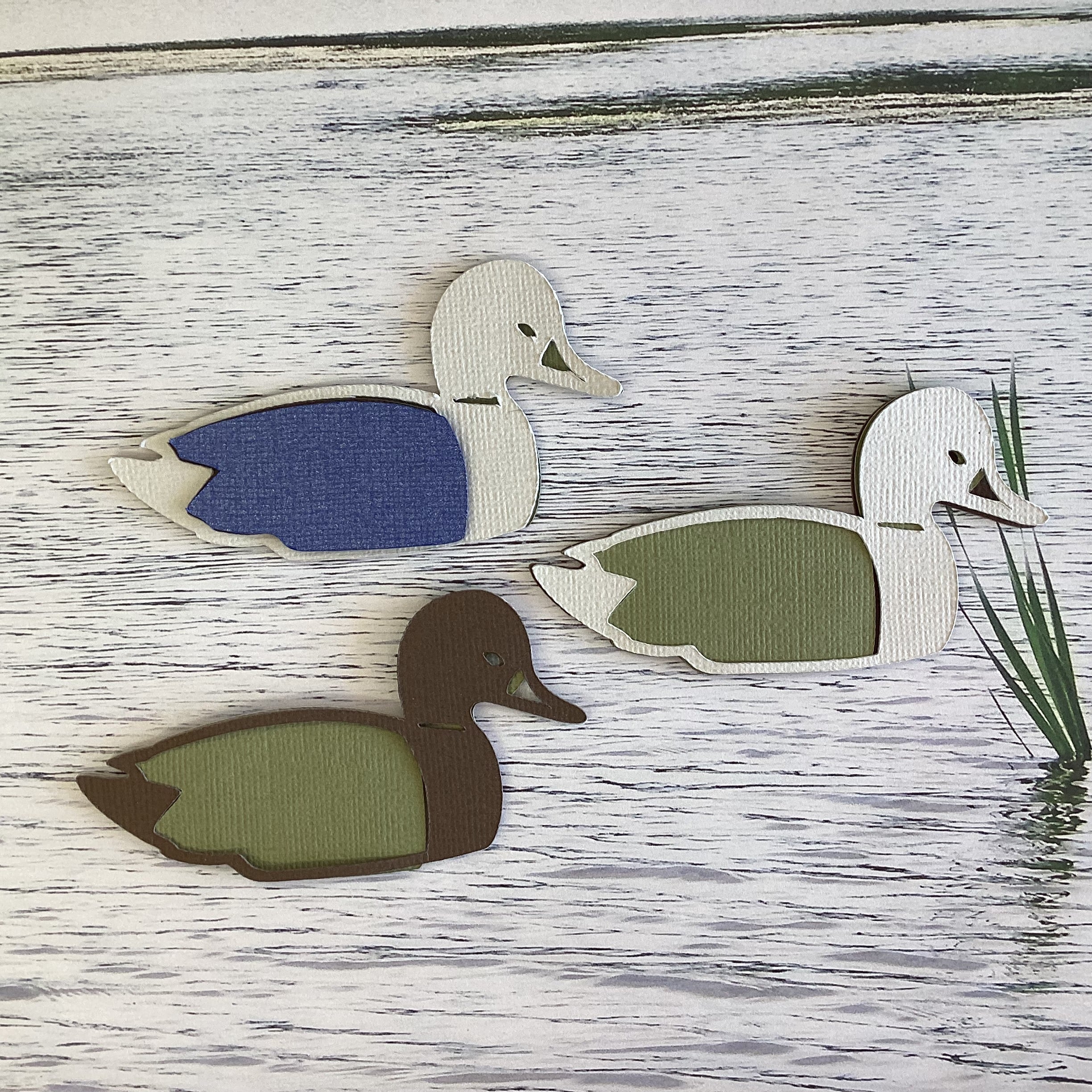 Custom Scrapbook FLOATING DUCK DieCut Embellishment