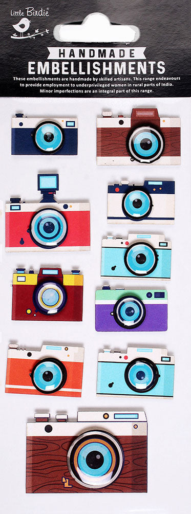 Little Birdie CAMERA GALLERY RESIN Stickers Handmade Embellishments 10pc