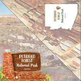 PETRIFIED FOREST KIT Papers and Stickers 5pc National Park Arizona