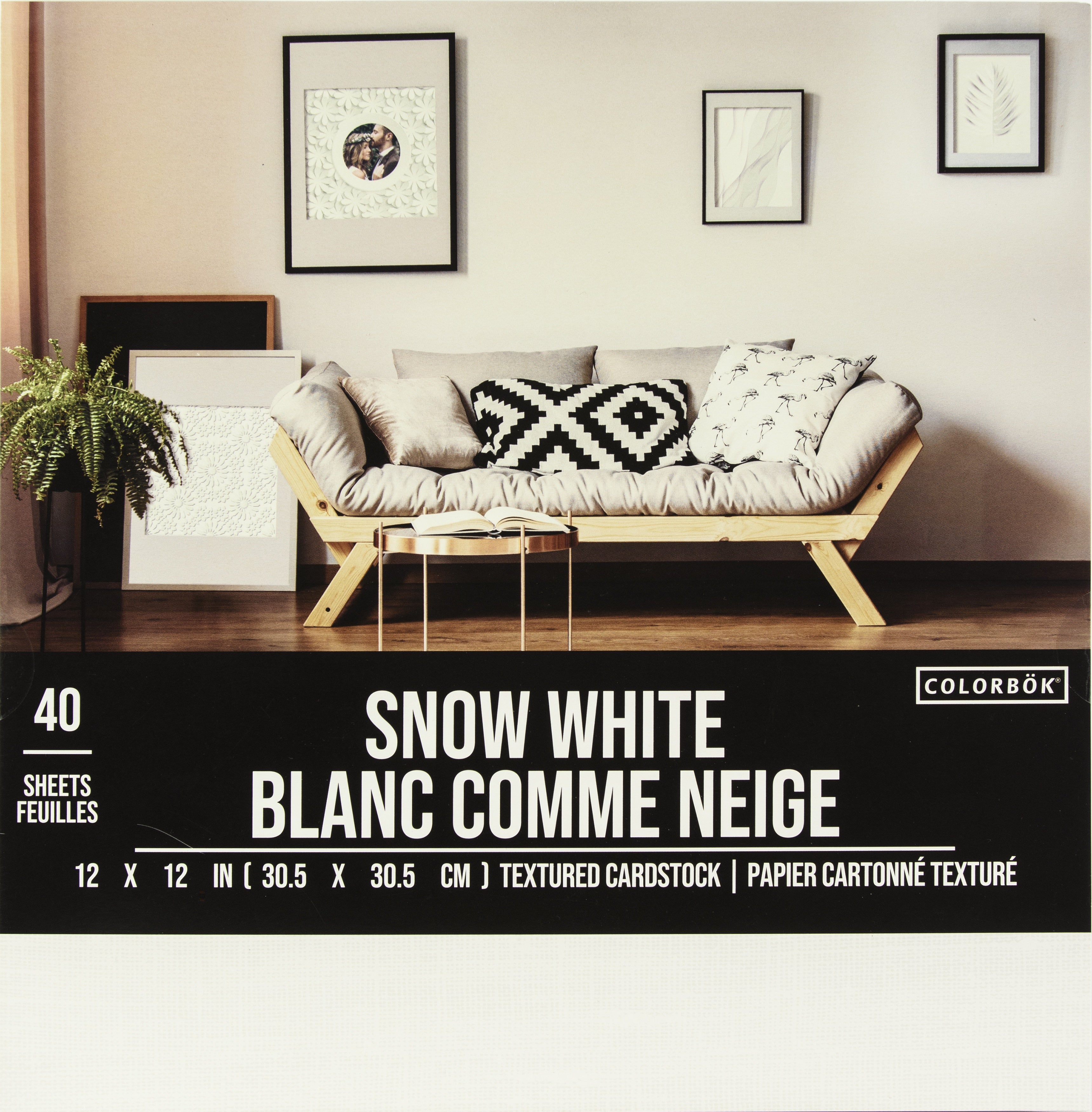 Colorbok TEXTURED SNOW WHITE 12”X12” Cardstock 40 Sheets