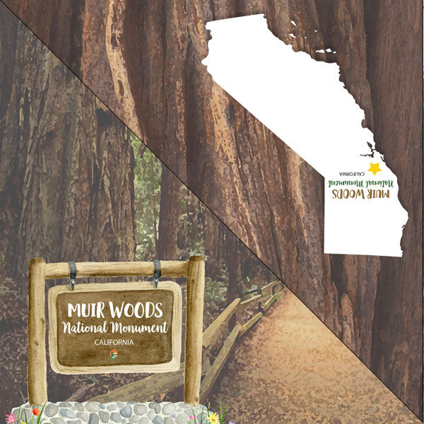 MUIR WOODS California National Monument 12"X12" Scrapbook Paper